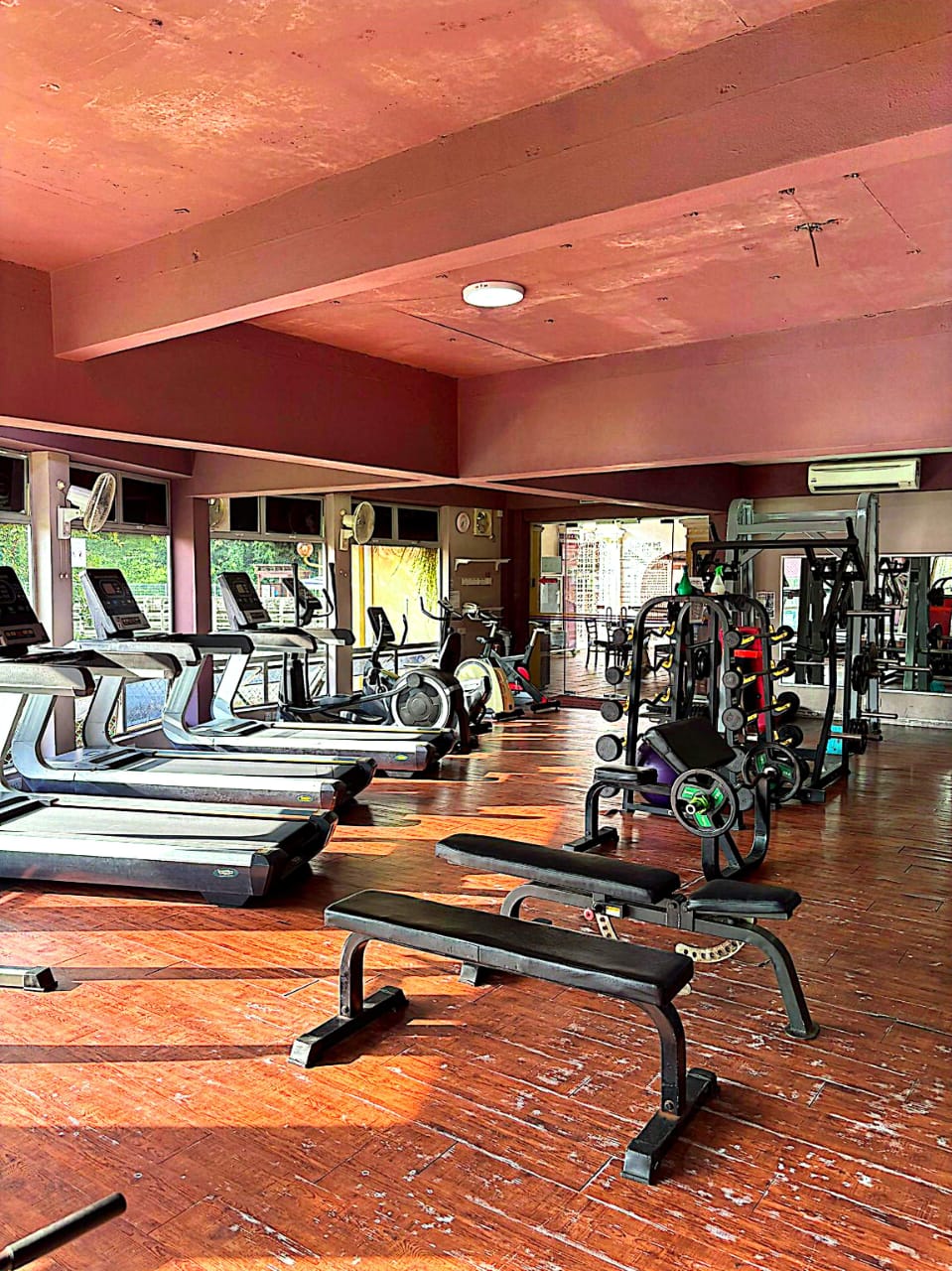 Gymnasium