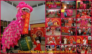 CNY Collage2